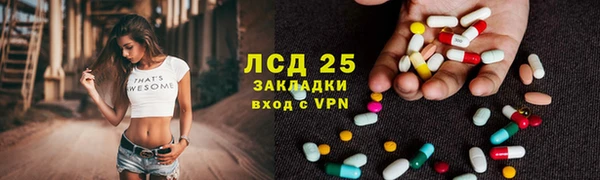 прущие грибы Домодедово