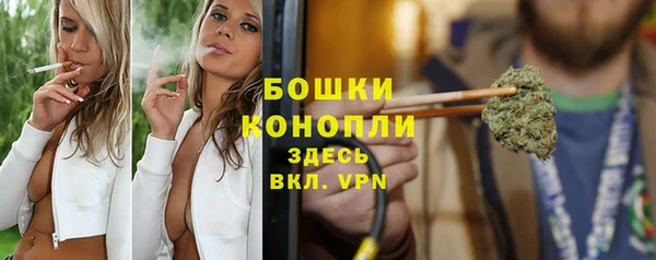 твердый Горнозаводск
