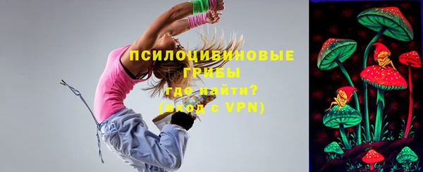 МДМА Горняк