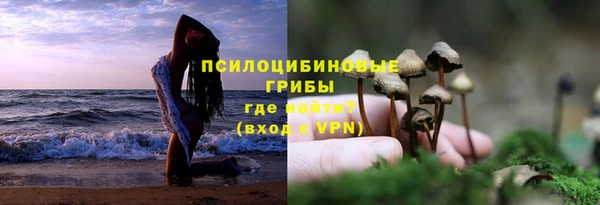 соль ск Остров