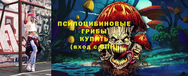 МДМА Горняк