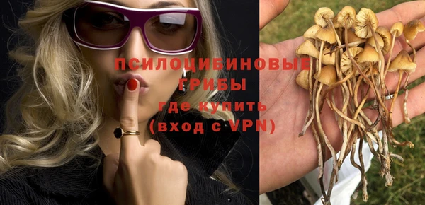 твердый Горнозаводск